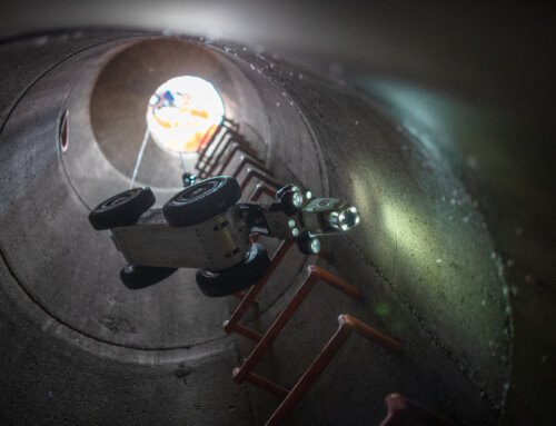 SECA Newsletter – May 2025