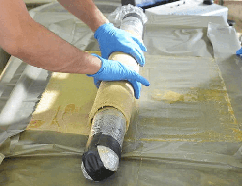 SECA Newsletter – June 2025