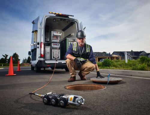 SECA Newsletter – January 2026