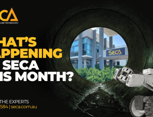 SECA Newsletter – March 2026